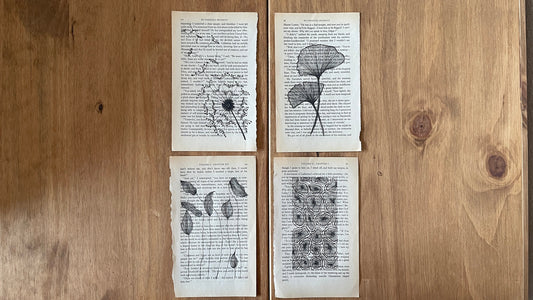 4 pcs Original Hand-Drawn Nature Illustration